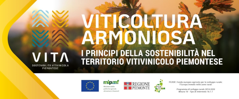 viticoltura armoniosa